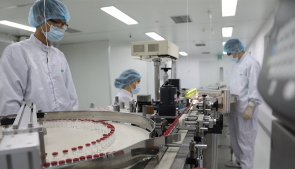 Tin vui vaccine Việt Nam: Tính tới gia công thương mại