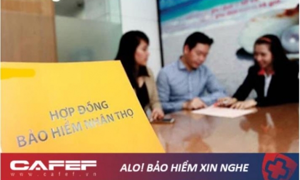 Thị phần của các 'ông lớn' bảo hiểm Bảo Việt, Manulife, Prudential, Dai-ichi, AIA: ai lớn nhất?