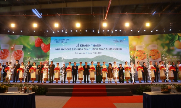 Nhà máy chế biến hoa quả tươi tại Vân Hồ của Tập đoàn TH chính thức đi vào hoạt động