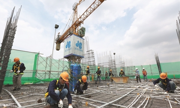 Xây dựng Hòa Bình (HBC) chuẩn bị thoái 'sạch' gần 43% vốn tại Chứng khoán Sen Vàng