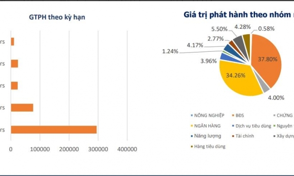 Trái phiếu bất động sản tiếp tục dẫn đầu lượng phát hành trong tháng 11/2021