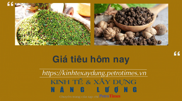 Giá tiêu hôm nay 9/12: Tiếp tục chuỗi ngày tăng