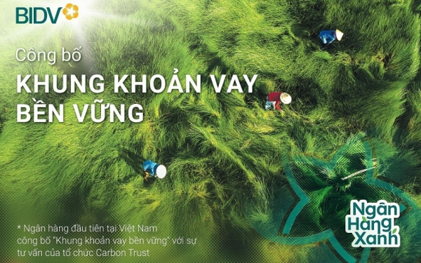 BIDV vào top 20 cổ phiếu phát triển bền vững nhất Việt Nam  lần thứ II liên tiếp