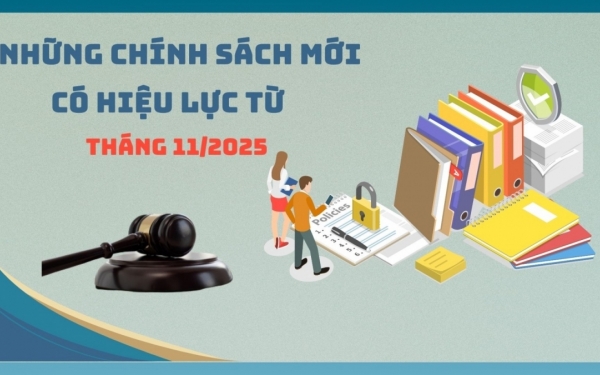 Những chính sách mới có hiệu lực từ tháng 11/2025