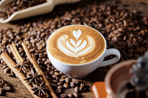 Giá cà phê hôm nay 16/6: Tăng nhẹ tại các địa phương thu mua trọng điểm