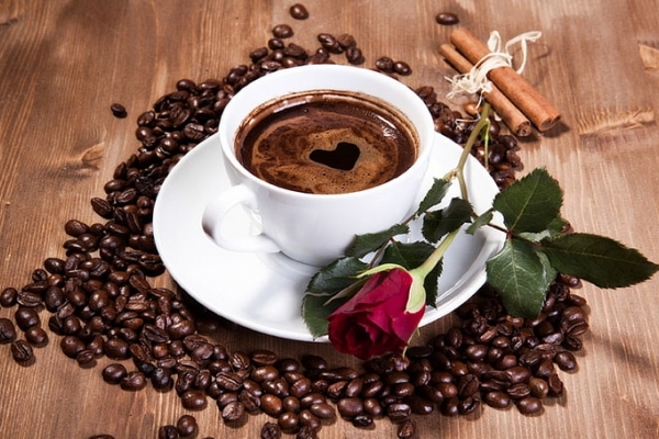 Giá cà phê hôm nay 6/7: Giảm 100 đồng/kg tại các địa phương thu mua trọng điểm