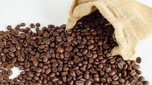 Giá cà phê hôm nay 15/7: Tăng nhẹ tại một số địa phương
