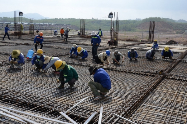 Tại sao Xây dựng Biên Hòa bị xử phạt hơn 400 triệu đồng, thậm chí bị đình chỉ hoạt động?