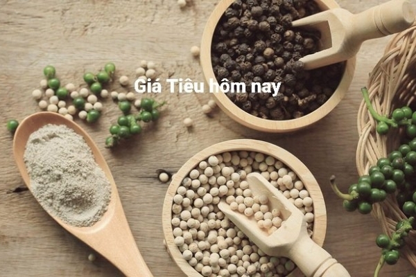 Giá tiêu hôm nay 26/7: Có dấu hiệu chững lại