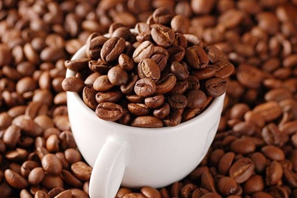 Giá cà phê hôm nay 22/9: Tăng 500 đồng/kg
