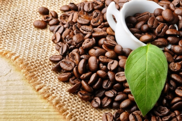Giá cà phê hôm nay 21/11: Trong nước ghi nhận đồng loạt dưới 40.000 đồng/kg