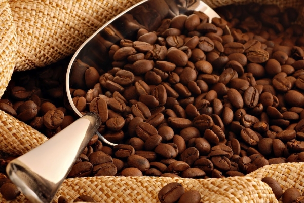 Giá cà phê hôm nay 25/11: Quay đầu giảm