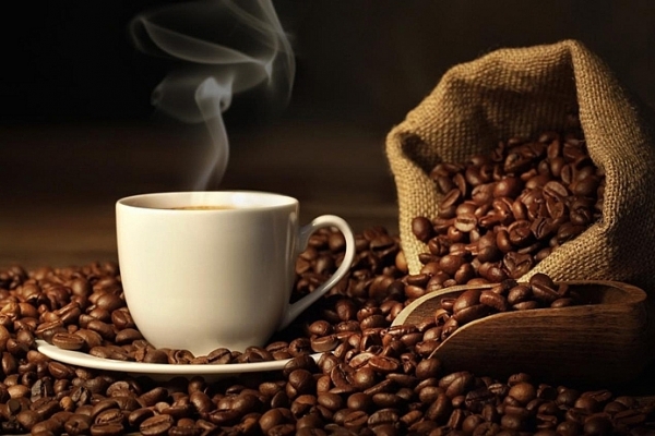 Giá cà phê hôm nay 28/11: Thị trường trong nước ở mức trên 40.000 đồng/kg