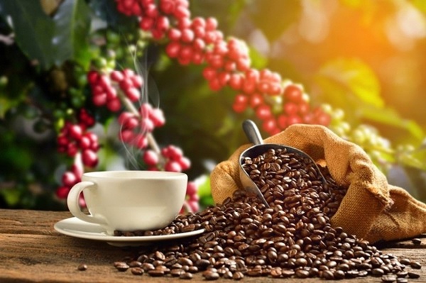 Giá cà phê hôm nay 19/12: Arabica tăng mạnh hơn Robusta