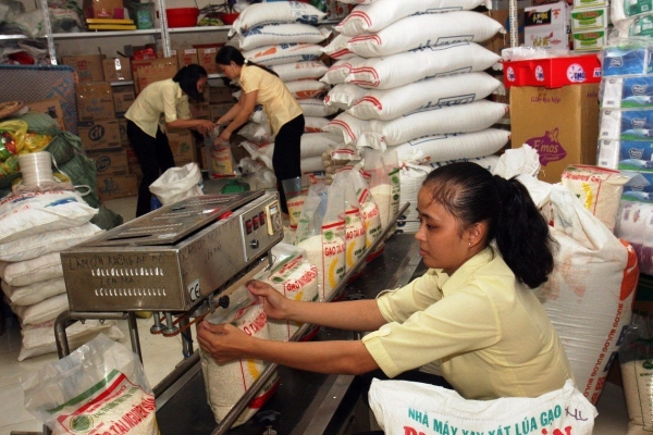 Giá gạo xuất khẩu tiếp tục được điều chỉnh tăng