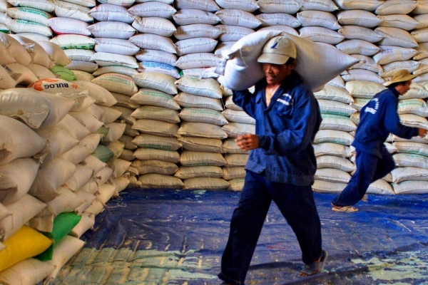 Doanh nghiệp xuất khẩu gạo đang có nhu cầu mua vào để đáp ứng đơn hàng đầu năm