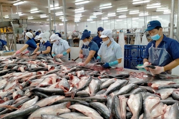 Xuất khẩu cá tra sang Brazil tăng trưởng 4 tháng liên tiếp