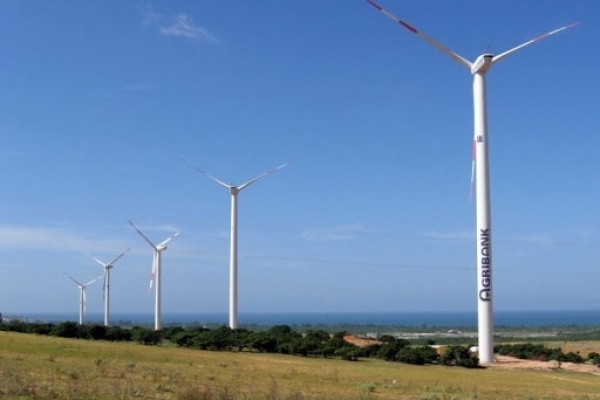 Agribank siết nợ chủ đầu tư dự án điện gió đầu tiên tại Việt Nam