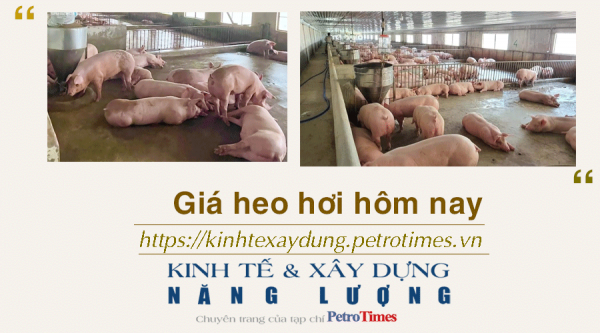 Giá heo hơi hôm nay 27/12: Ổn định trên cả nước