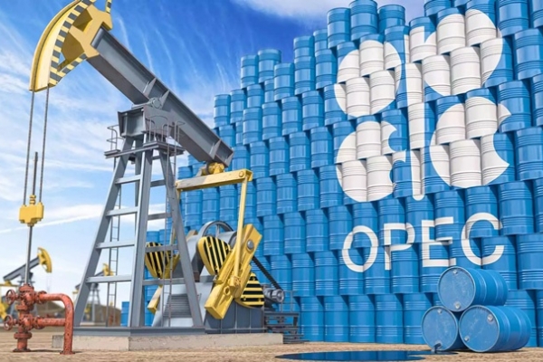 Điểm nổi bật của thị trường dầu mỏ toàn cầu của OPEC