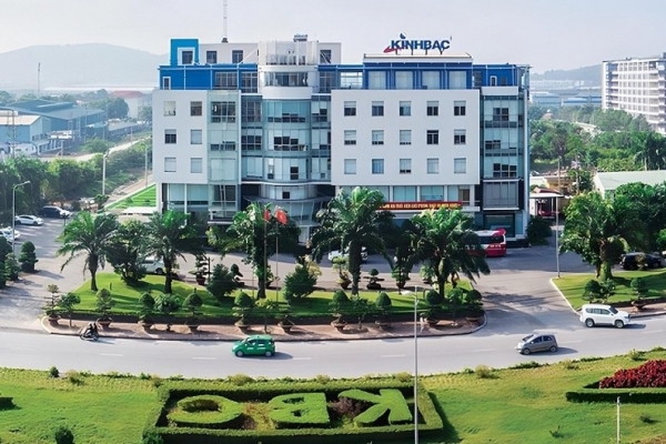 Doanh nghiệp bất động sản lao đao sau kiểm toán năm 2024