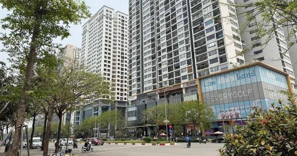 Gần 89% môi giới bất động sản chưa có chứng chỉ hành nghề hoặc đã hết hiệu lực