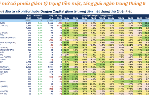 Thị trường tháng 5/2025: Quỹ đầu tư nới lỏng “phanh” - Niềm tin đang trở lại?