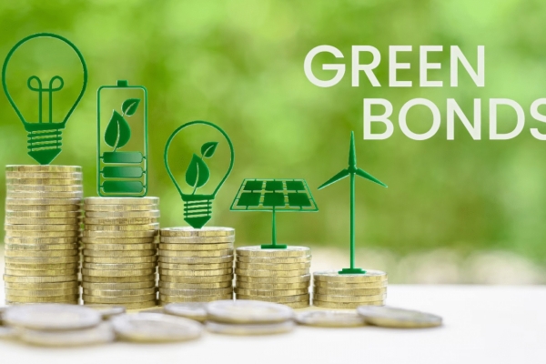 Trái phiếu xanh: Công cụ tài chính quan trọng để Việt Nam đạt mục tiêu Net Zero