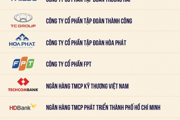 Vingroup, Thaco, TC Group, Hòa Phát, FPT dẫn đầu doanh nghiệp tư nhân nộp ngân sách 2024