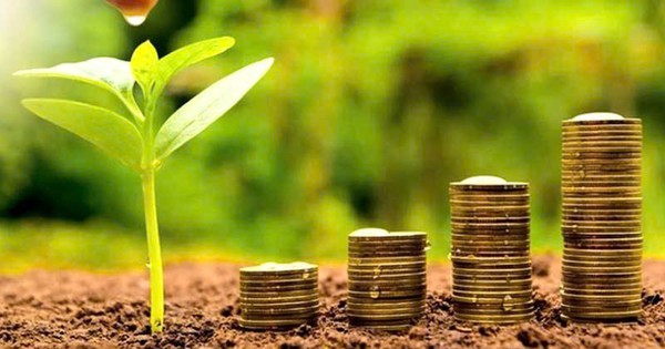 13 doanh nghiệp trả cổ tức tiền mặt, mức cao nhất lên tới 80%