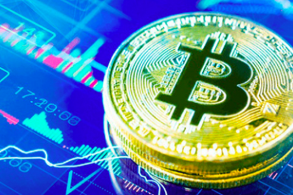 Thủ đoạn lừa đầu tư tiền mã hóa khiến Hơn 8.000 nạn nhân sập bẫy