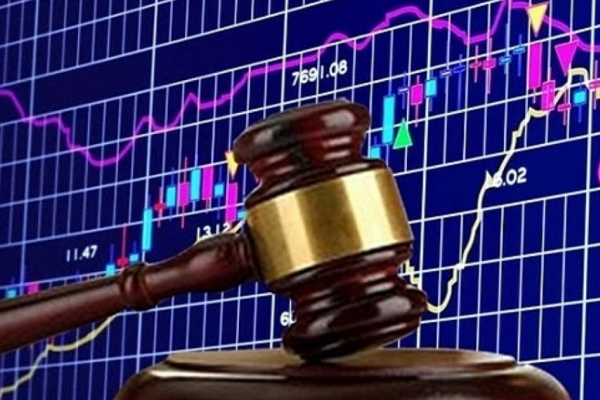 Thêm 2 doanh nghiệp bị Ủy ban Chứng khoán Nhà nước xử phạt