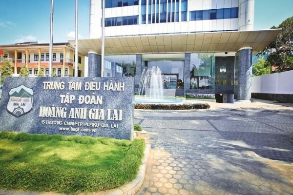 HAGL dự kiến phát hành 210 triệu cổ phiếu, tham vọng lợi nhuận năm 2025 đạt hơn 1.100 tỷ đồng