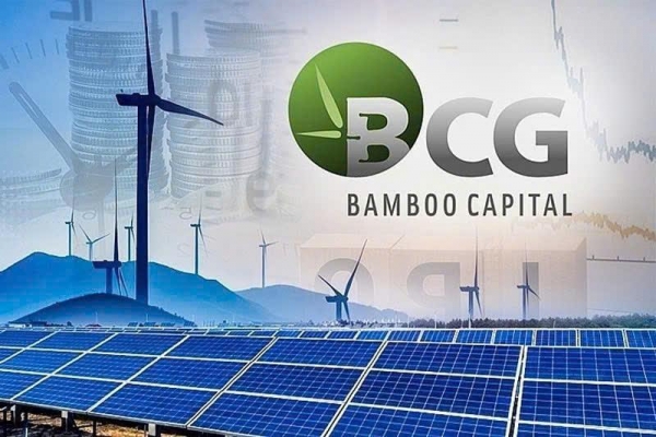 Bamboo Capital báo lãi khủng trước khi cổ phiếu bị hạn chế giao dịch trên sàn chứng khoán