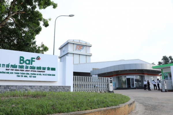Nông nghiệp BAF Việt Nam lãi gấp 5 lần trong quý II, sản lượng heo 6 tháng đạt 330.000 con