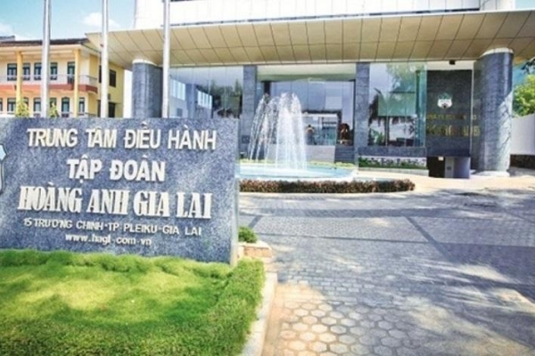 Hoán đổi nợ thành cổ phiếu: Một doanh nghiệp chính thức đặt chân vào nhóm cổ đông lớn HAGL