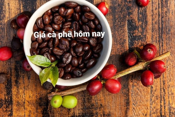 Giá cà phê hôm nay 6/8: Arabica, Robusta đồng loạt xuống giá