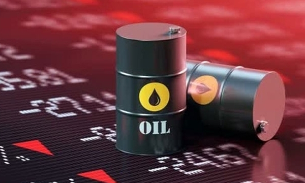 Giá xăng dầu hôm nay 7/11: Giá dầu thô giảm mạnh