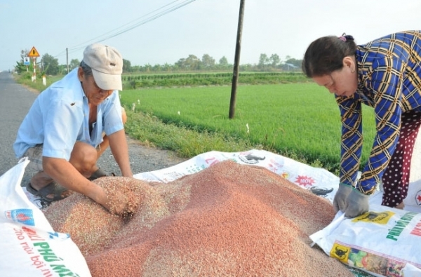 Giá phân bón hôm nay 19/3: Giao dịch cuối tuần trầm lắng