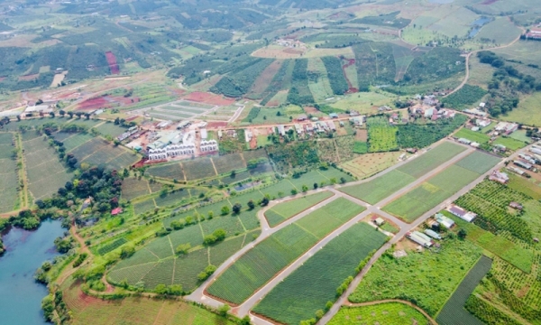 Lâm Đồng: Ra văn bản “khai tử” các quy định về phân lô, tách thửa trên đất nông nghiệp