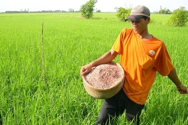 Giá phân bón hôm nay 23/6: Xuất khẩu NPK tăng