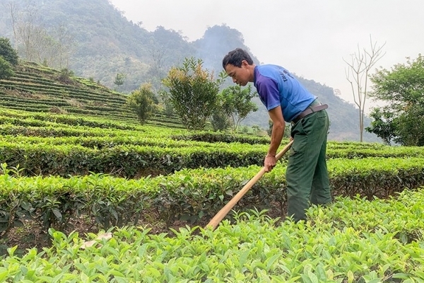 Giá phân bón hôm nay 24/6: Giao dịch chưa được cải thiện