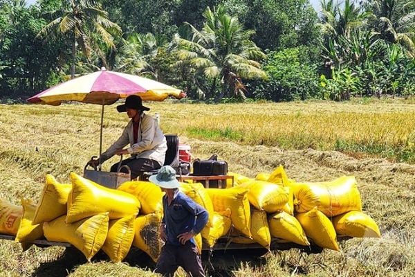 Giá phân bón hôm nay 5/8: Chào giá Kali tăng