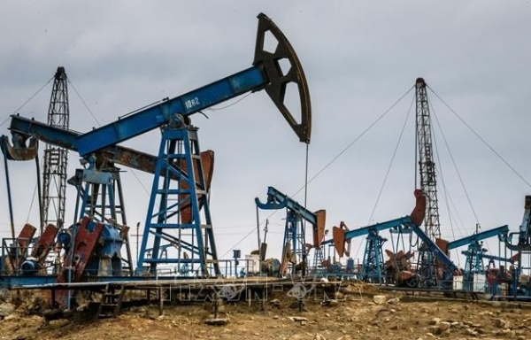 Giá xăng dầu hôm nay (28/8): Dầu thô đi ngang trong phiên giao dịch đầu tuần