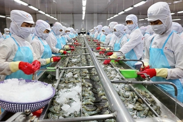 Xuất khẩu thủy sản Việt Nam sang Mỹ tăng 80% sau 10 năm