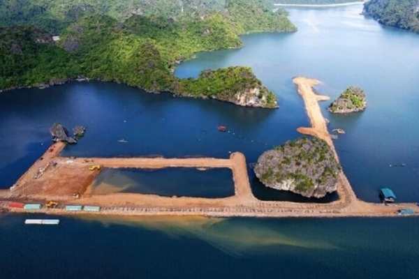 Quảng Ninh: Dự án nghìn tỷ gây ảnh hưởng tới hệ sinh thái vịnh Hạ Long