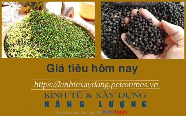 Giá tiêu hôm nay 24/1: Điều chỉnh tăng