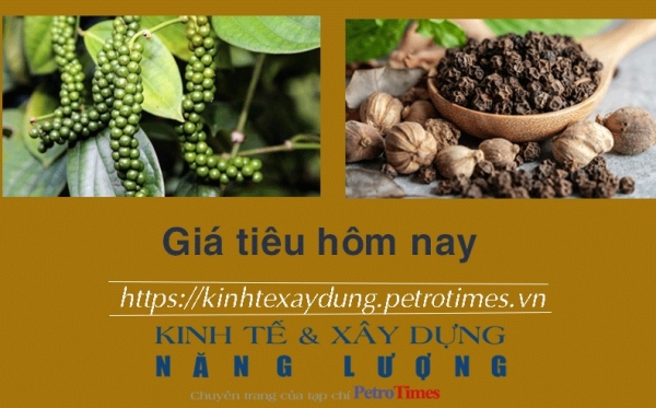 Giá tiêu hôm nay 25/1: Giảm tại Đông Nam Bộ