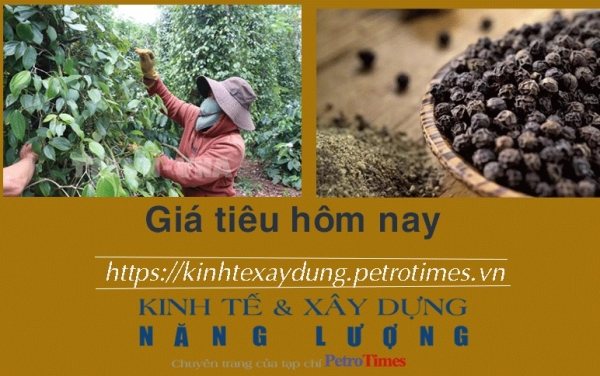 Giá tiêu hôm nay 26/1: Tiếp tục giảm tại Đông Nam Bộ