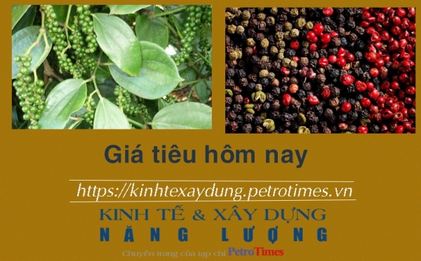 Giá tiêu hôm nay 28/1: Thị trường thế giới chững lại